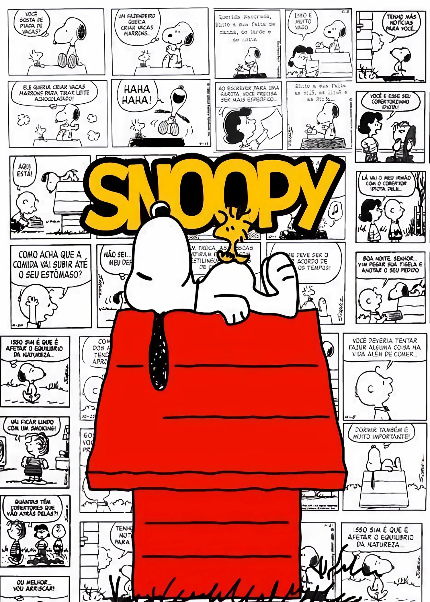 Colección Snoopy